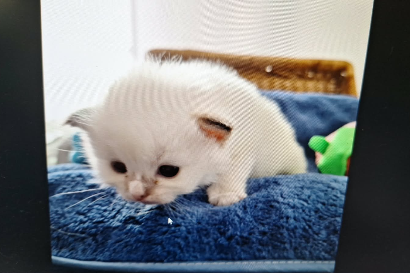 Bijou