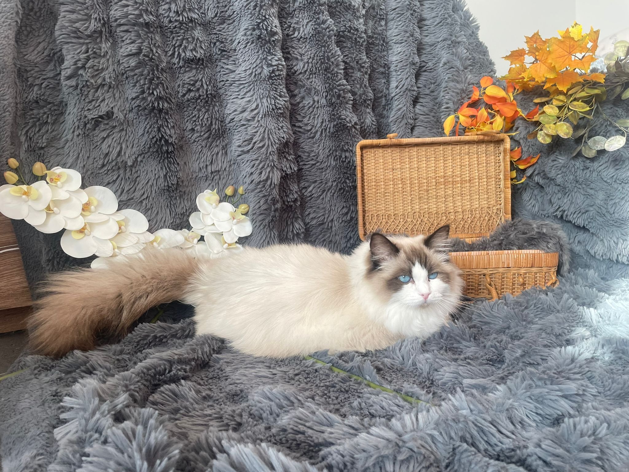Luna